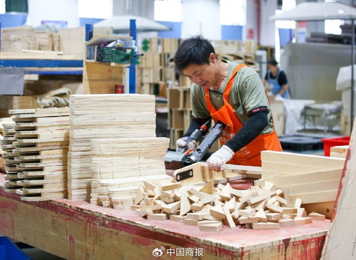 家居市場“金九銀十”火熱啟動，五金交電選購指南助您精明消費